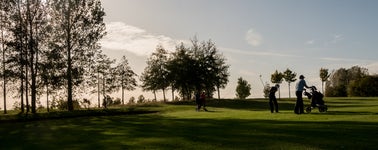 Golf Arrangement