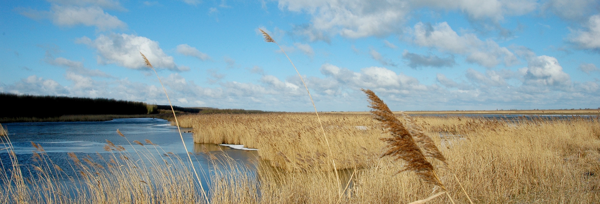 Discover the beautiful surroundings of Almere!