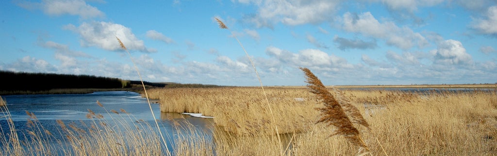Discover the beautiful surroundings of Almere!