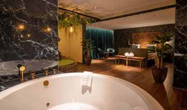 Jungle Suite Jungle Suite