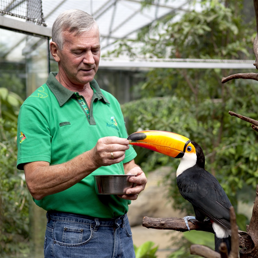 Activiteiten kalender