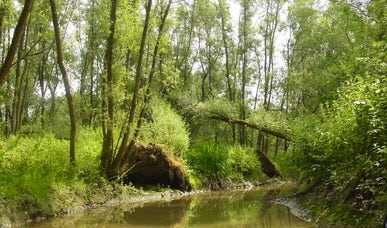 Hotel Dordrecht Hotel Dordrecht