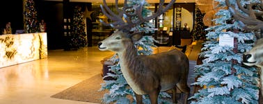 Hotel Maastricht - Kerstarrangement 2 nachten