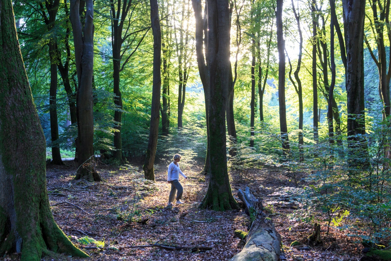 Speulder- und Sprielderbos