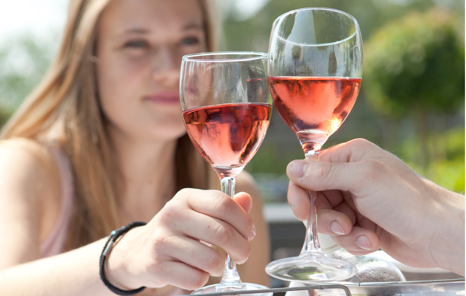 Noord Hollands borrel arrangement 2 uur