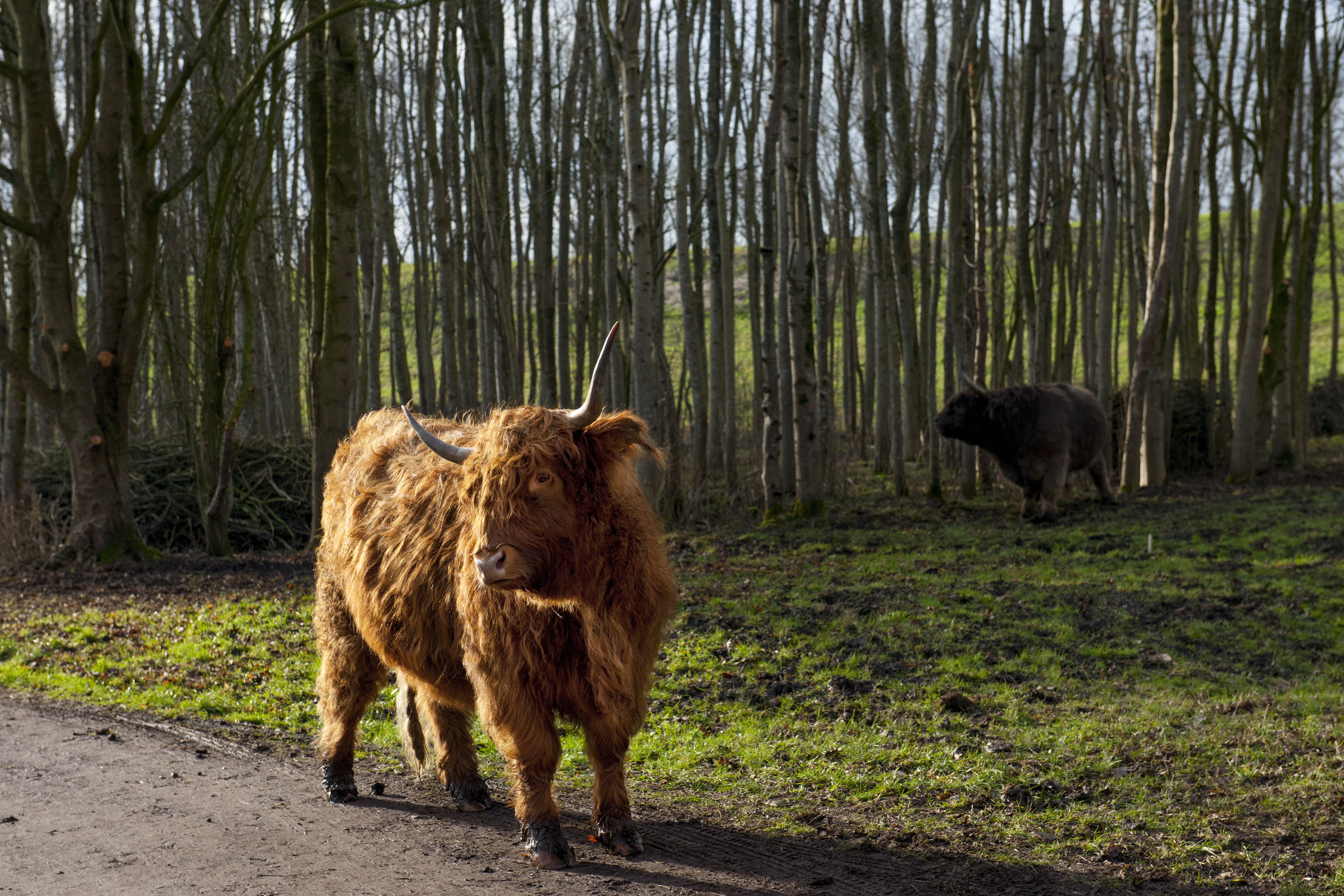 Burgemeester Rasterhoffpark
