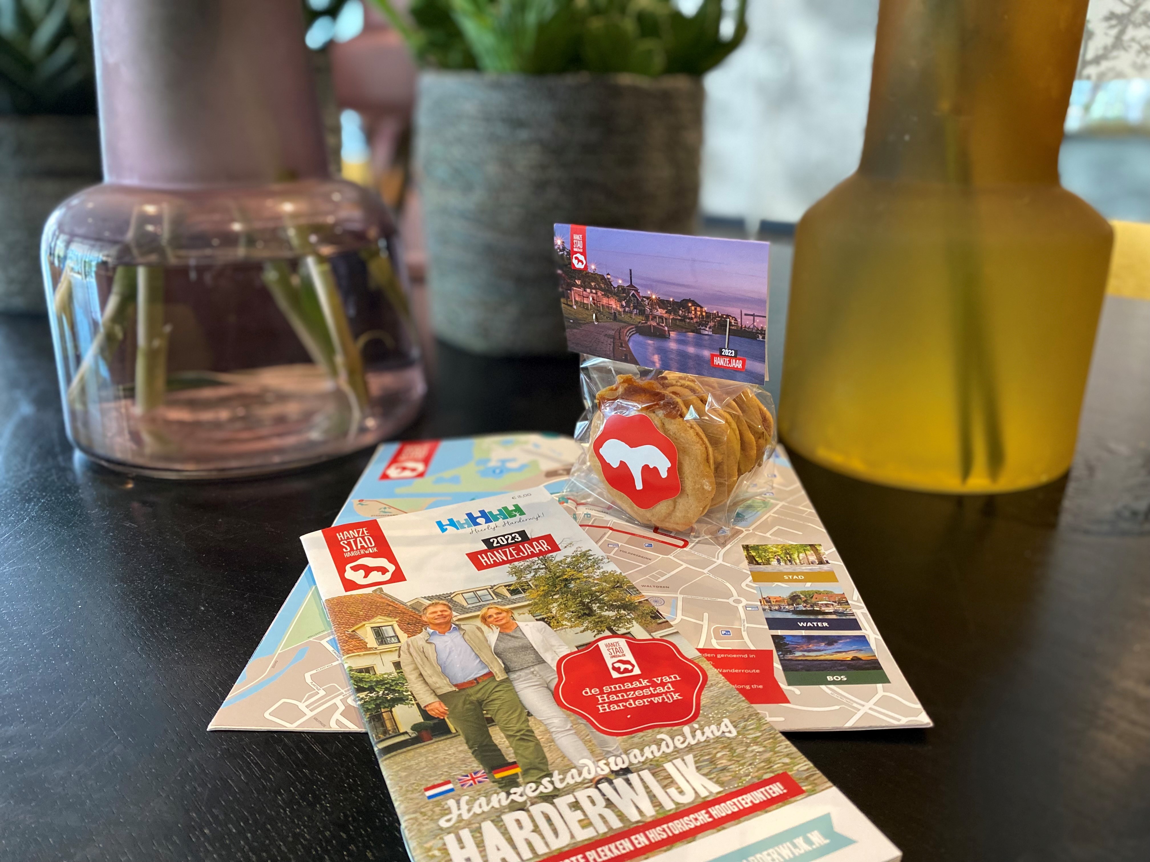 Hanze Stadswandeling