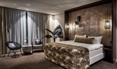 Safari Suite Safari Suite