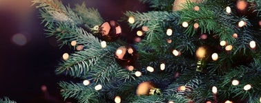 Hotel Spier-Dwingeloo - Merry Christmas arrangement 2