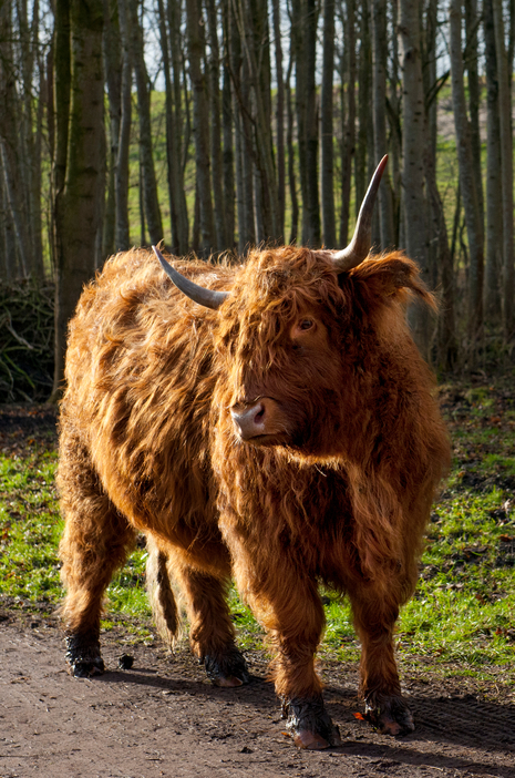 Burgemeester Rasterhoffpark