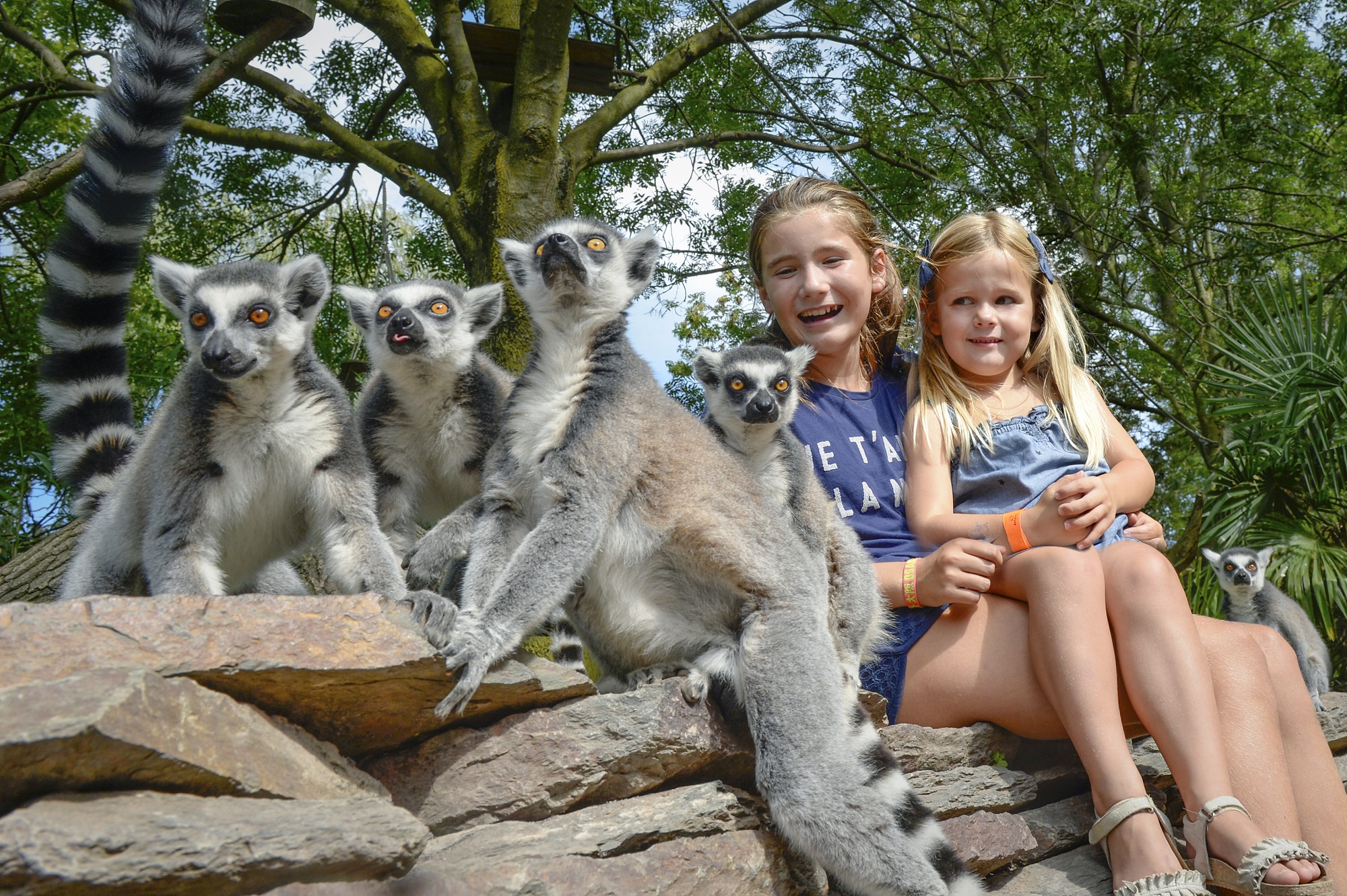 Dagje uit met het gezin