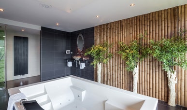 Jungle Suite Jungle Suite