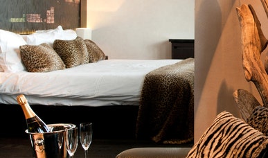 Africa Suite Africa Suite