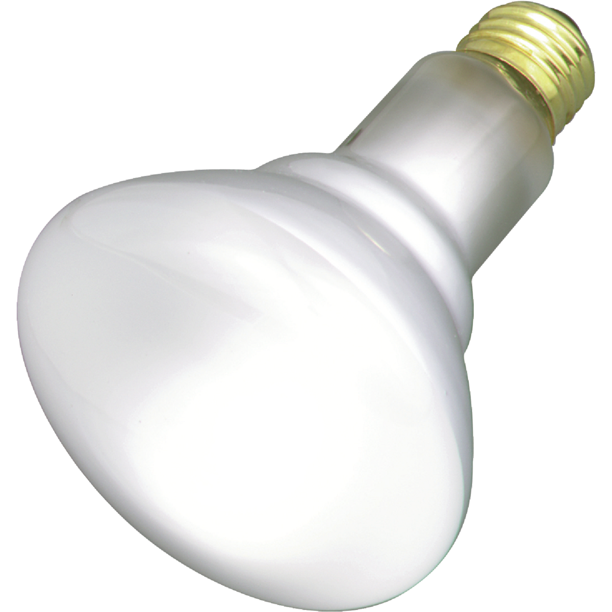 Incandescent Floodlight Light Bulb