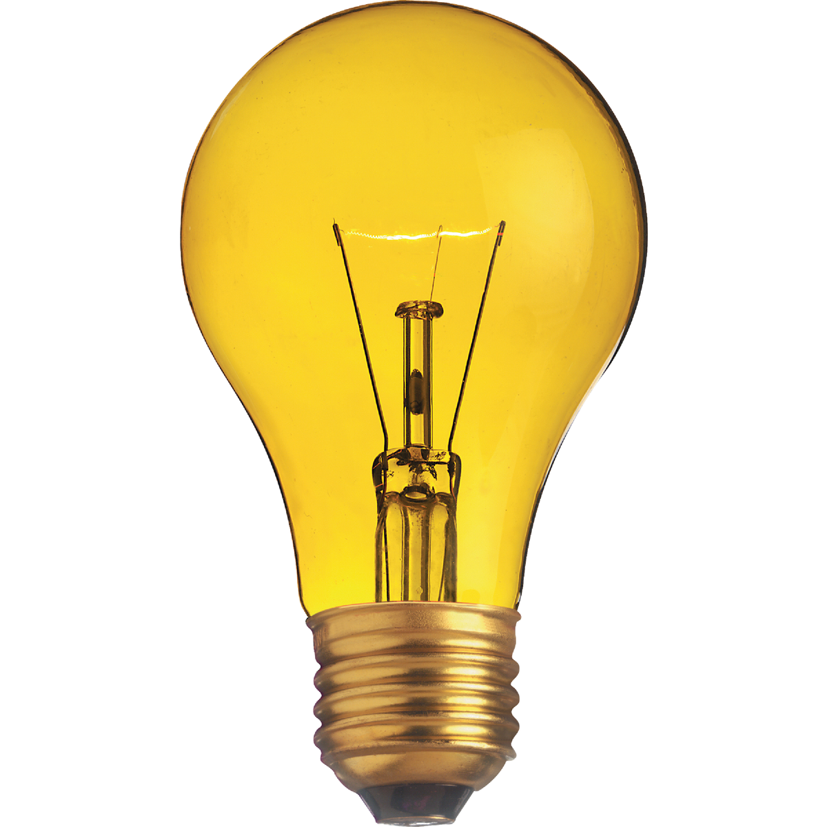 Incandescent Decorative Light Bulb