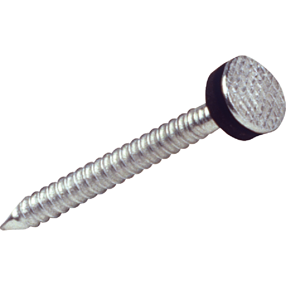 GripRite 13/4 In. 10 ga Hot Galvanized Roofing Washer Nails (5350 Ct., 50 Lb.) eBay
