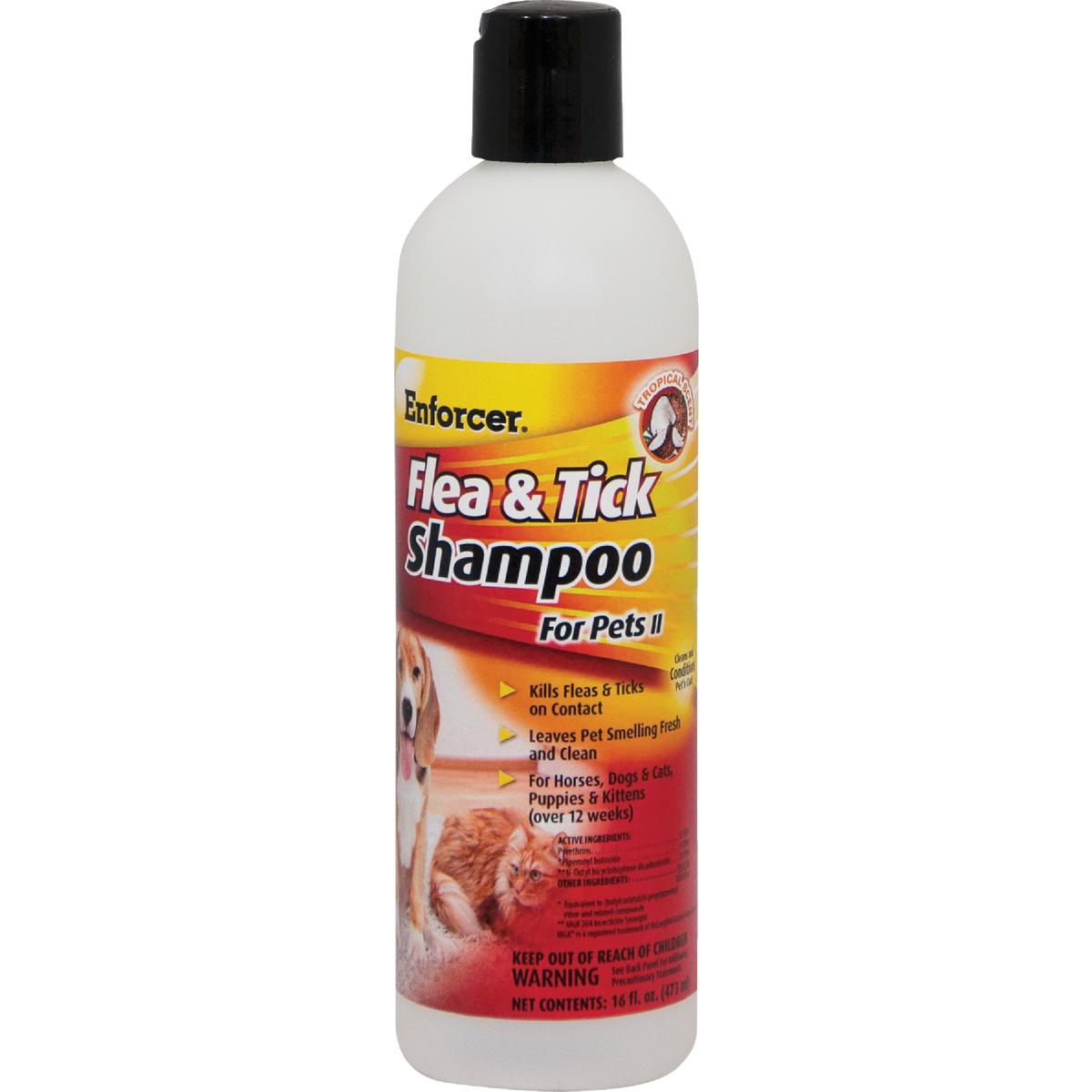 Shampoo and Wipes