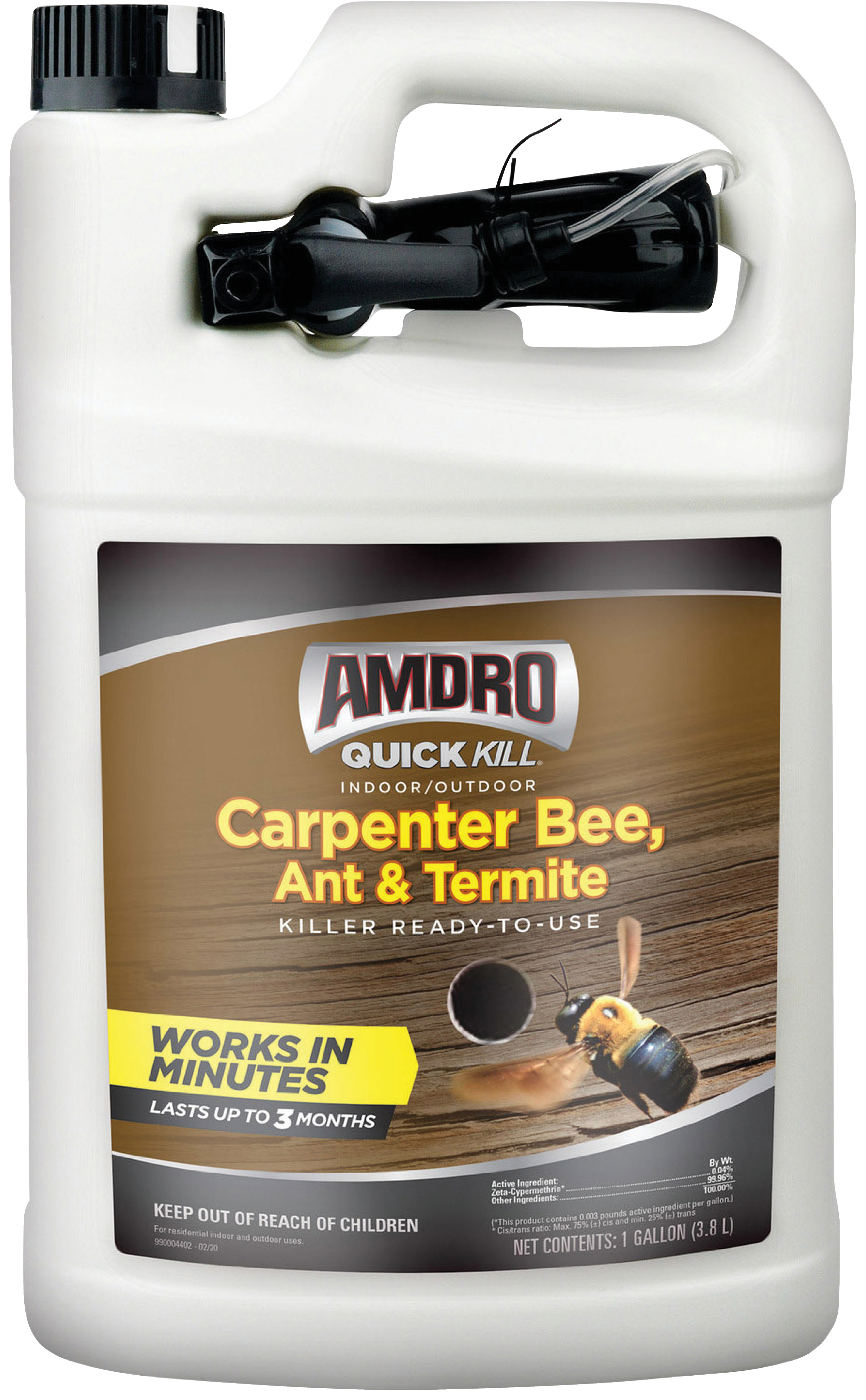 kill carpenter bees