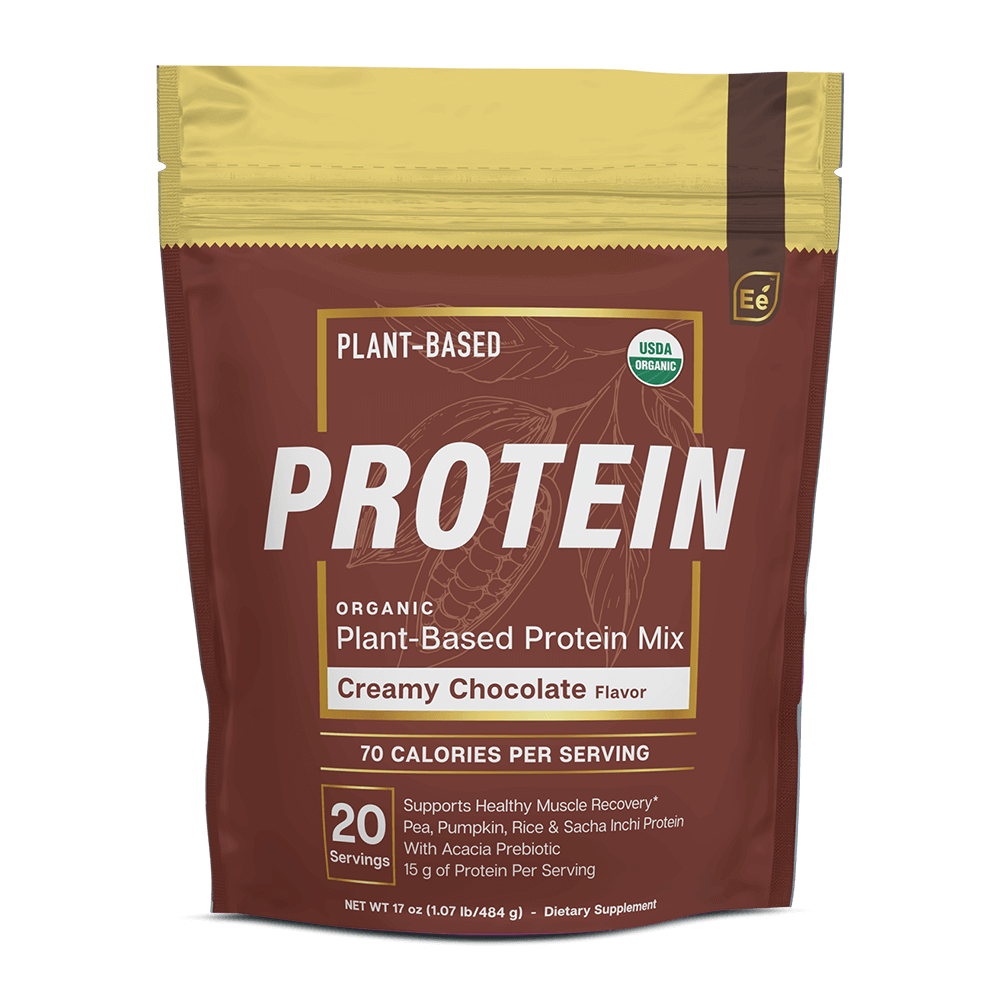 Creamy Chocolate Protein