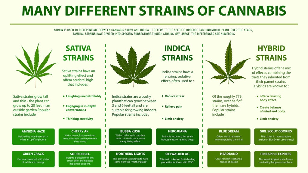 cannabis strains