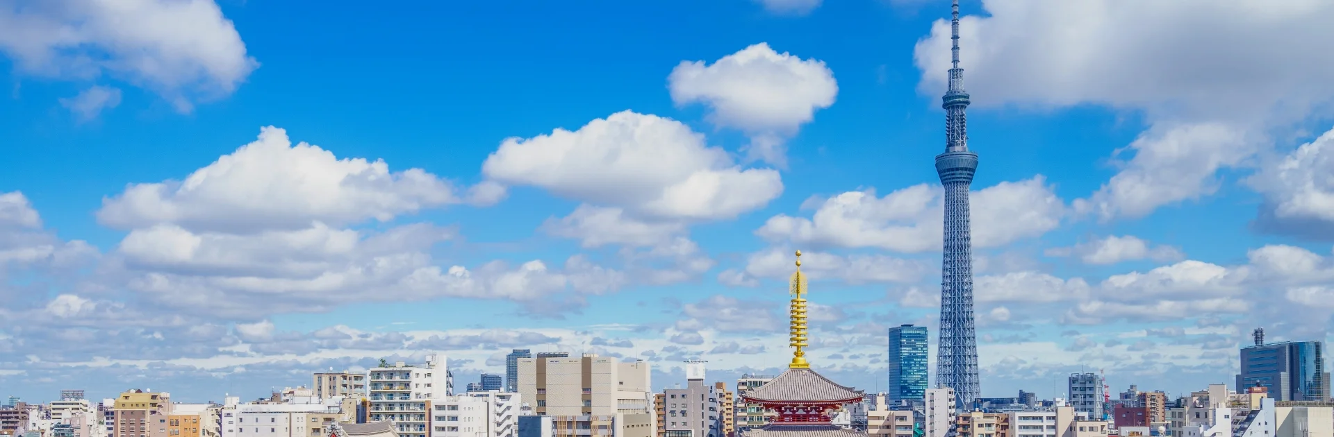 [.jpg] Tokyo skyline representing the venue city for Combination Products Seminar Japan 2026.