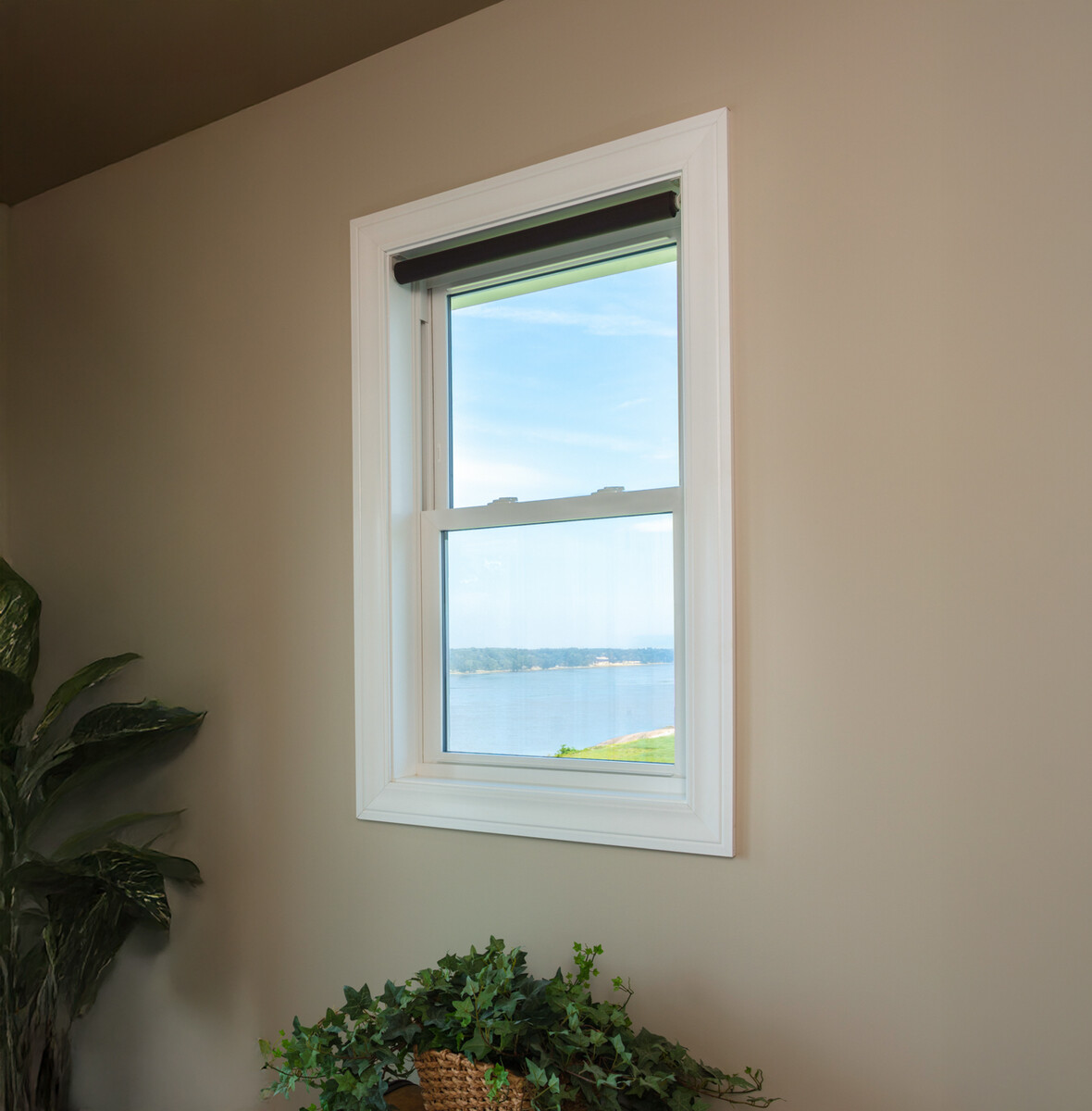 Neutral-toned interior with impact double hung window against a tan wall