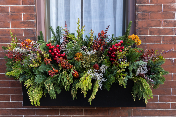 A winter holiday window box filled with pine and berries on a brick house