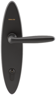 Millennium Black Nickel Exterior (Wide)