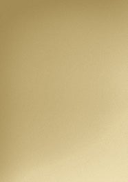 Hardware Finishes - Bright Brass