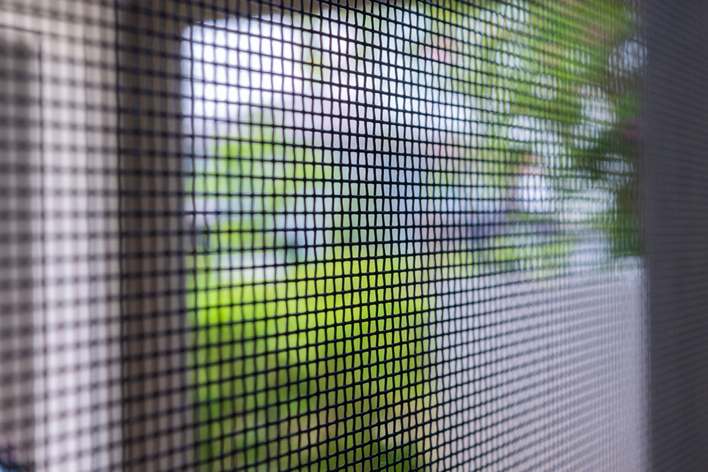 A close-up of the wire screen in a screen door