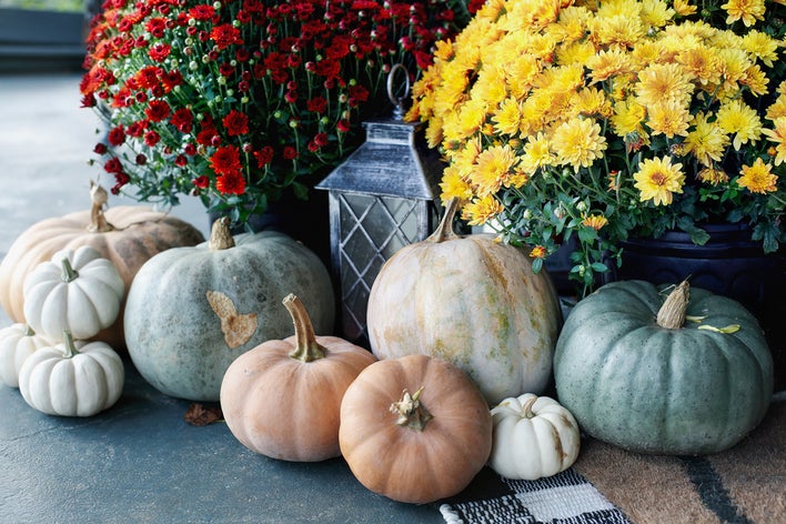 Display of multi-colored pumpkins on a front porch