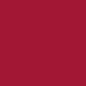 Designer Paints - Valli Red