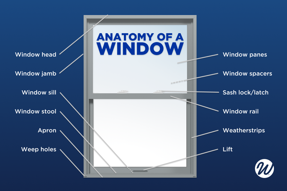 Anatomy of a window infographic from Window World showing various parts of a window such as window sill, window panes, etc.