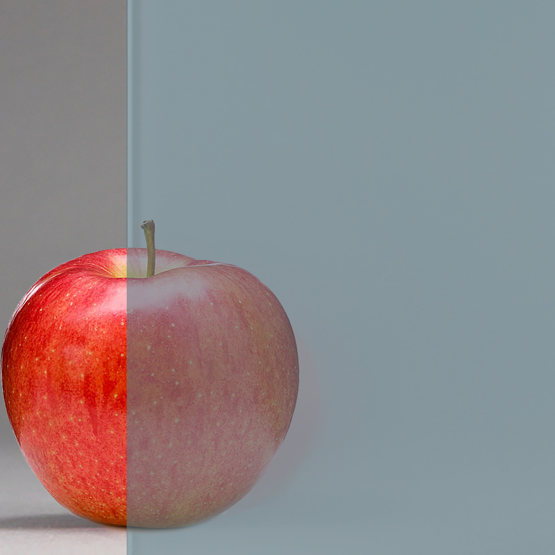 Privacy & Tinted Glass Options - Low-E 366