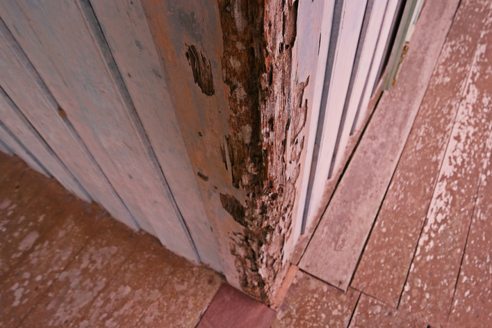 Photo of termite damage in a home