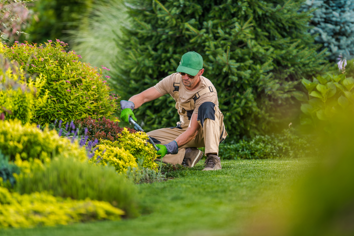 kneeling on a lawn, trimming shrubs around the exterior of a home