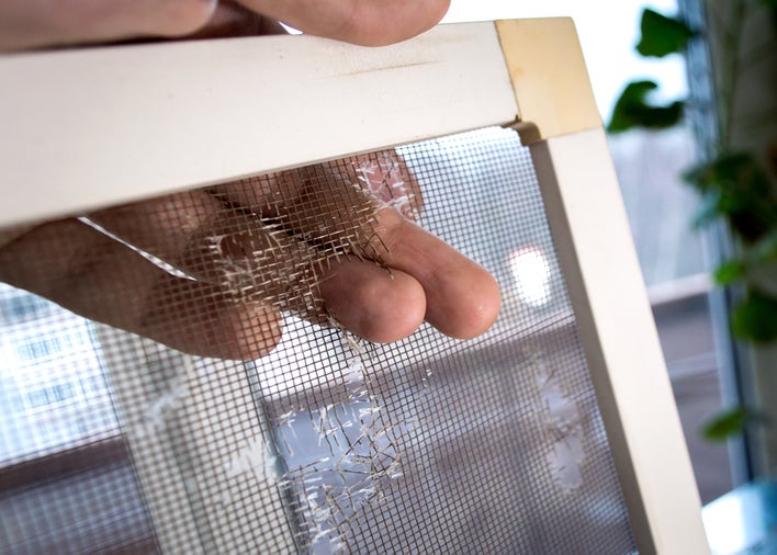 Fingers reaching through the hole in a damaged window screen in need of replacing