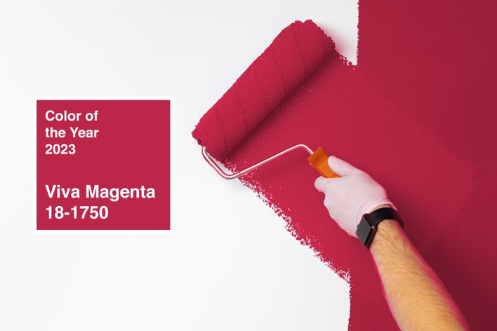 An accent wall being painted a bright magenta color, the 2023 Pantone Color of the Year