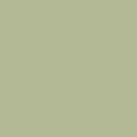 Luna Moth