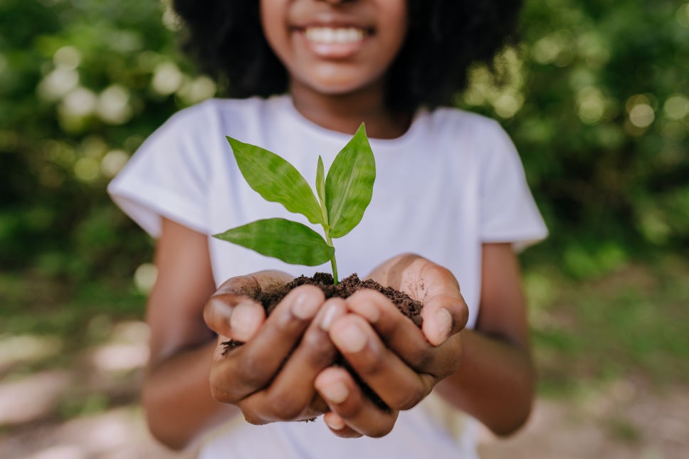 A woman holding a dirt in her hands with a sappling growing out of it