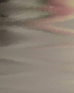 Privacy Glass Options - Chinchilla