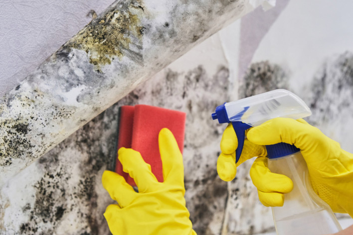 Someone cleaning mold from a dirty house