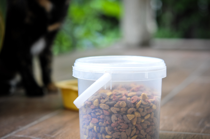 Clear resealable container of pet food sitting on a wooden floor