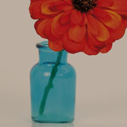 Glass Options - Bronze Tint