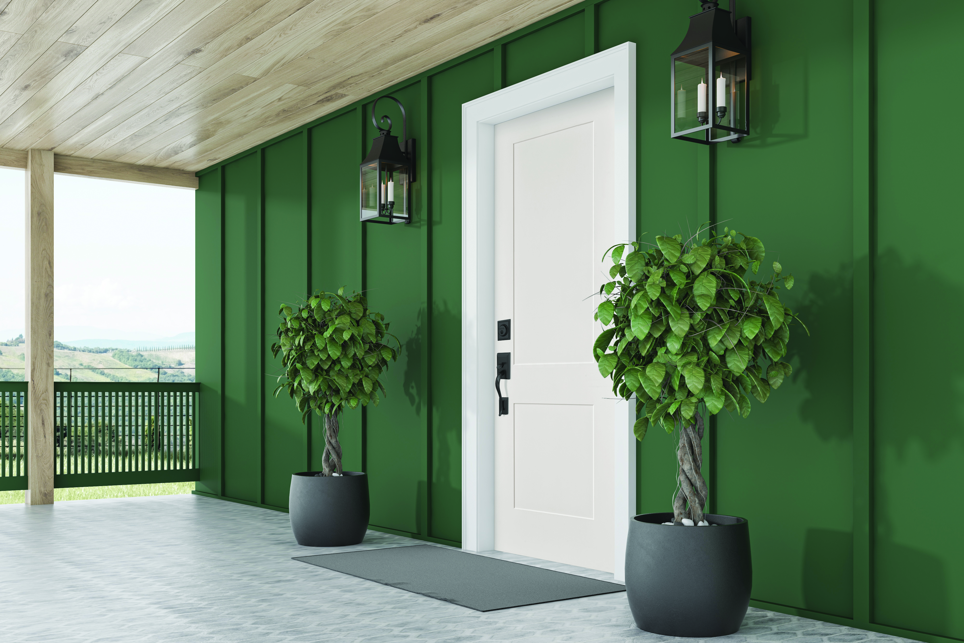 A white 2 panel smooth steel door with a black handleset on a home with forest green siding