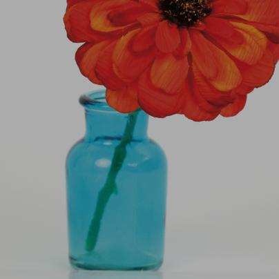 Glass Options - Gray Tint