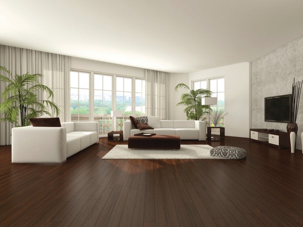 Vinyl Picture Windows | Window World Carolinas