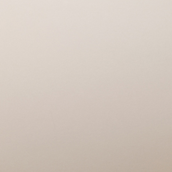 Privacy & Tinted Glass Options - Tinted Bronze