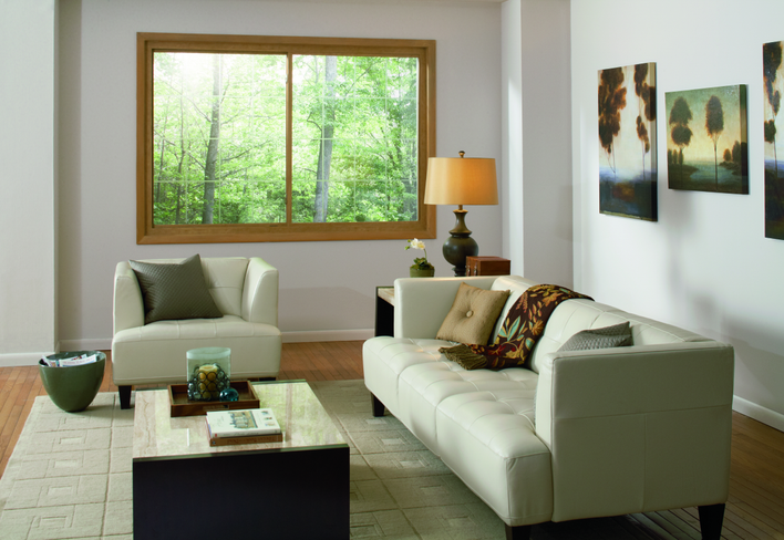 A living room with a couch, a coffee table, and wood windows 