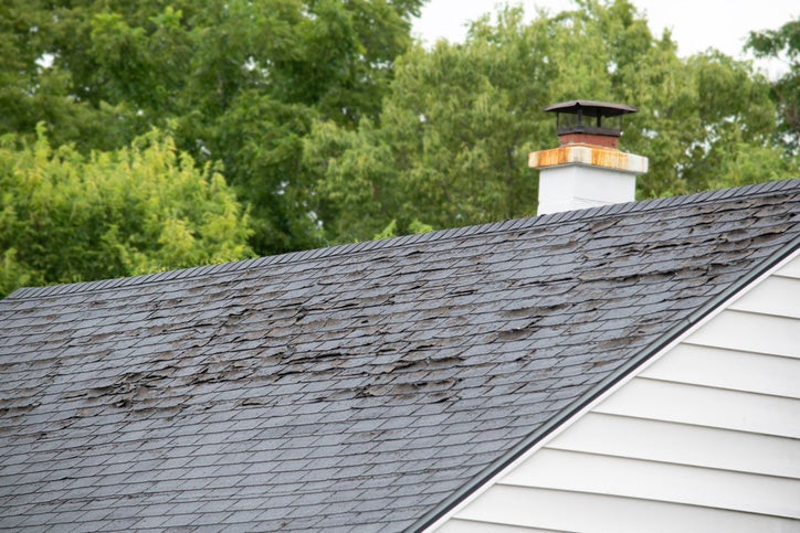 A shingle roof showing signs of decay